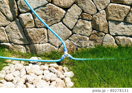 ガーデニング　青い芝生と散水ホース分岐コネクタ 80278131