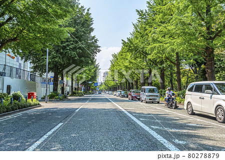 横浜の都市風景 春の山下公園通り 横浜の都市風景 春の山下公園通り 80278879