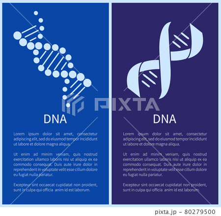 DNA Set of White Spirals Isolated on Blue Backdrop DNA Set of White Spirals Isolated on Blue Backdrop 80279500