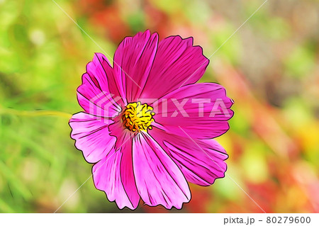 パステル調 満開のコスモス イラストイメージのイラスト素材