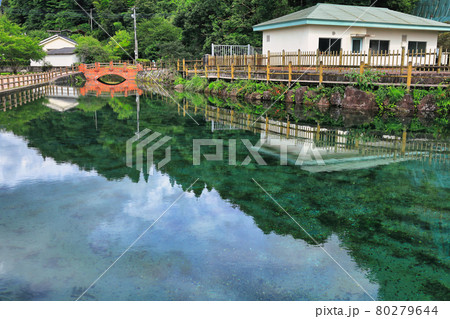 丸池湧水(日本名水百選) 丸池湧水(日本名水百選) 80279644