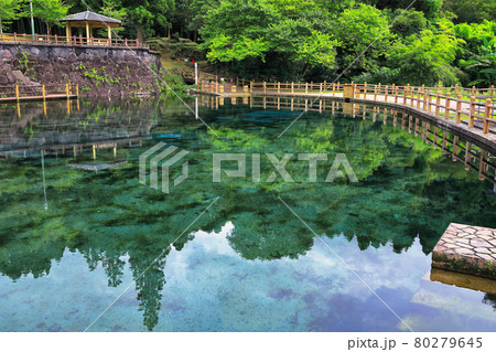 丸池湧水（日本名水百選） 80279645