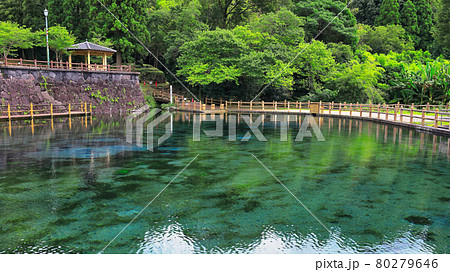 丸池湧水(日本名水百選) 丸池湧水(日本名水百選) 80279646