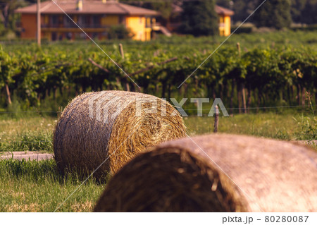 A hay bale 80280087