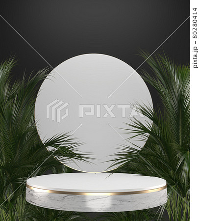 The Tropical granite Podium geometric and plants decoration on black background .3D rendering The Tropical granite Podium geometric and plants decoration on black background .3D rendering 80280414