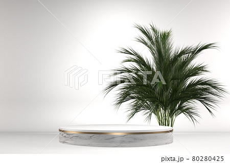 The Tropical granite Podium geometric and plants decoration on white background .3D rendering The Tropical granite Podium geometric and plants decoration on white background .3D rendering 80280425