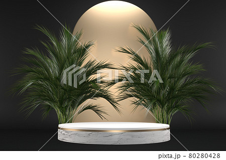 The Tropical granite Podium geometric and plants decoration on black background .3D rendering The Tropical granite Podium geometric and plants decoration on black background .3D rendering 80280428