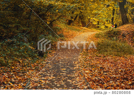 Filevsky Park in autumn in Moscow. Russia 80280808