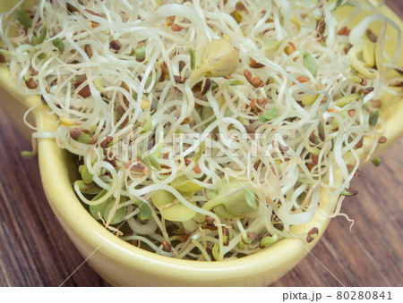 Alfalfa and radish sprouts as healthy addition to sandwiches 80280841