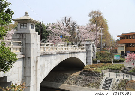 南浅川橋そばの桜並木とハナモモ　東京都八王子市　 80280999