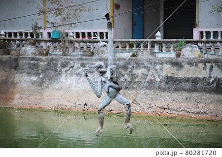 ワット・パーラックローイ 80281720