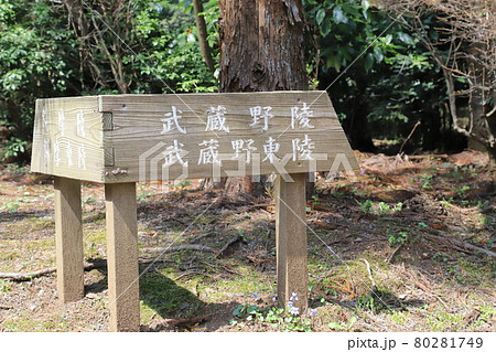 武蔵陵墓地（多摩御陵）　案内板 80281749