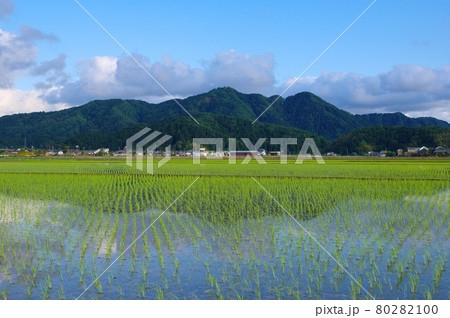 文殊山 文殊山 80282100
