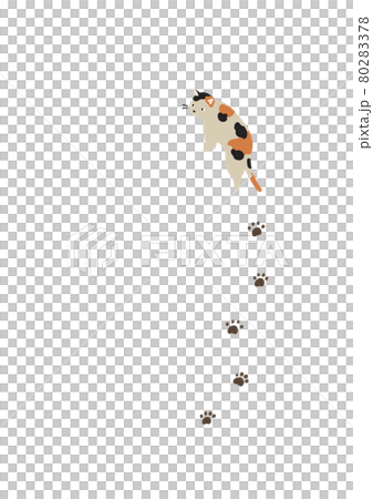 振り向く猫-ミケ猫 80283378