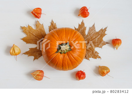 Autumn composition. Pumpkin, dry leaves, apples and physalis on a white wooden background. Autumn thanksgiving day background. Autumn composition. Pumpkin, dry leaves, apples and physalis on a white wooden background. Autumn thanksgiving day background. 80283412