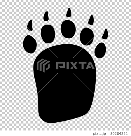 Footprints of palm civet Footprints of palm civet 80284231