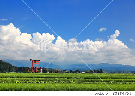 庄内平野夏雲風景　羽黒山大鳥居 80284759