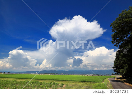 庄内平野夏雲風景 庄内平野夏雲風景 80284782