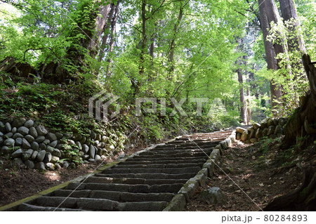 羽黒山の石段 2446段は神社で日本一 羽黒山の石段 2446段は神社で日本一 80284893
