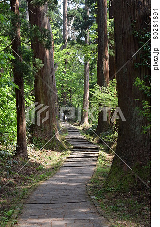 羽黒山の石段 2446段は神社で日本一 羽黒山の石段 2446段は神社で日本一 80284894
