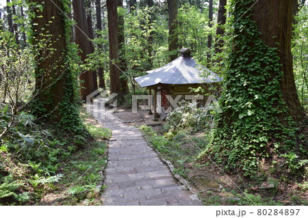 羽黒山の石段 2446段は神社で日本一 羽黒山の石段 2446段は神社で日本一 80284897