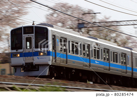 桜並木と小田急線2000形（各停：8両編成） 80285474