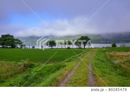 朝陽に照らされる湖畔【夏の木崎湖】 朝陽に照らされる湖畔【夏の木崎湖】 80285479