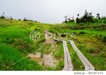森吉山　木道の登山道 80287241