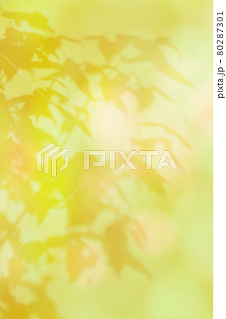 秋色のやさしい光に揺れる、葉っぱのシルエット 秋色のやさしい光に揺れる、葉っぱのシルエット 80287301