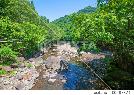 中木川　中木ダム、妙義湖上流付近　初夏の周辺景色　　　　　　 80287321