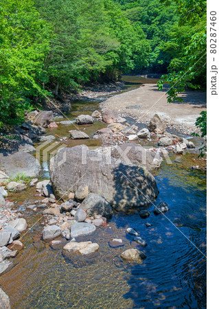 中木川　中木ダム、妙義湖上流付近　初夏の周辺景色　　　　　　 80287460