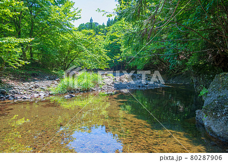 中木川 中木ダム、妙義湖上流付近 初夏の周辺景色 中木川 中木ダム、妙義湖上流付近 初夏の周辺景色 80287906