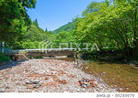 中木川 中木ダム、妙義湖上流付近 初夏の周辺景色 中木川 中木ダム、妙義湖上流付近 初夏の周辺景色 80288070