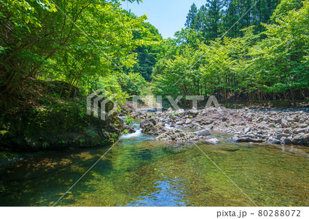 中木川 中木ダム、妙義湖上流付近 初夏の周辺景色 中木川 中木ダム、妙義湖上流付近 初夏の周辺景色 80288072