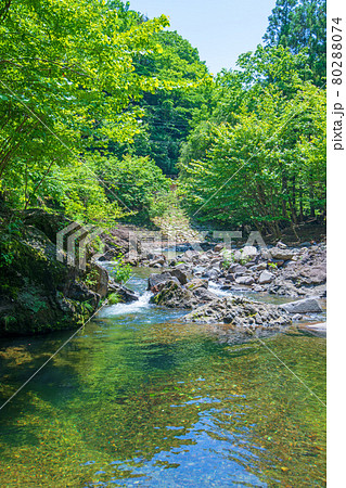 中木川 中木ダム、妙義湖上流付近 初夏の周辺景色 中木川 中木ダム、妙義湖上流付近 初夏の周辺景色 80288074