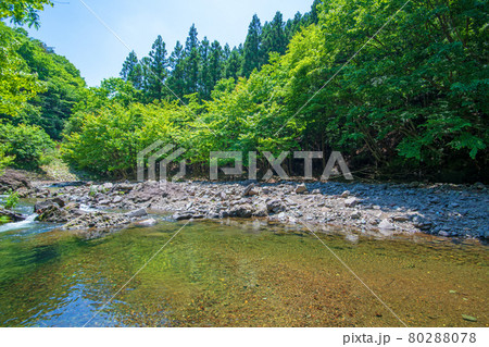 中木川 中木ダム、妙義湖上流付近 初夏の周辺景色 中木川 中木ダム、妙義湖上流付近 初夏の周辺景色 80288078
