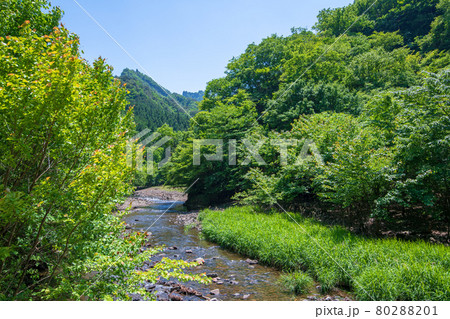 中木川　中木ダム、妙義湖上流付近　初夏の周辺景色　　　　　　 80288201