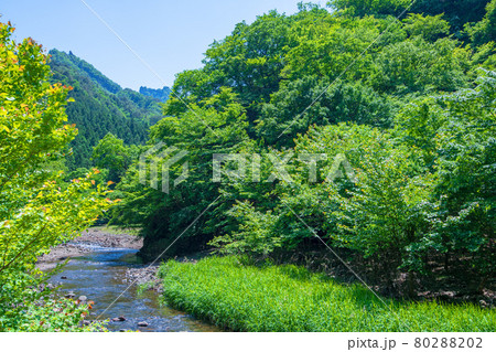 中木川 中木ダム、妙義湖上流付近 初夏の周辺景色 中木川 中木ダム、妙義湖上流付近 初夏の周辺景色 80288202