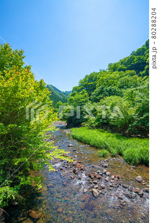 中木川　中木ダム、妙義湖上流付近　初夏の周辺景色　　　　　　 80288204