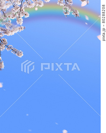 青空に桜と虹のさわやかな背景のイラスト素材