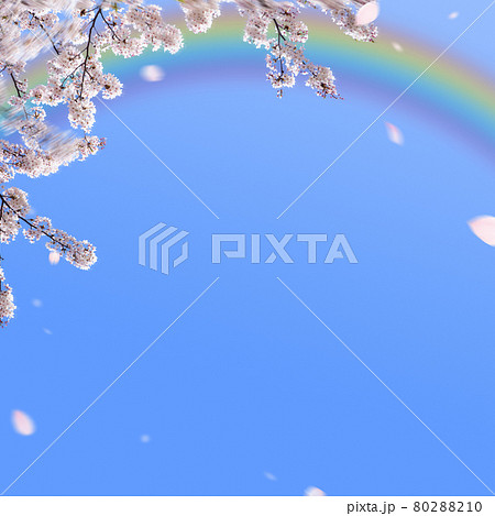 青空に桜と虹のさわやかな背景のイラスト素材