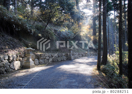 比叡山延暦寺 東塔から西塔への参道 滋賀県大津市 比叡山延暦寺 東塔から西塔への参道 滋賀県大津市 80288251