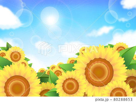夏の向日葵畑の背景のイラスト素材