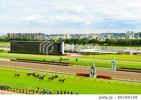 東京競馬場　開催日　場内風景（ゴールシーン遠景観客席より） 80289199