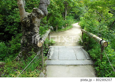 浄瑠璃寺 境内の石橋 京都府木津川市 浄瑠璃寺 境内の石橋 京都府木津川市 80289207