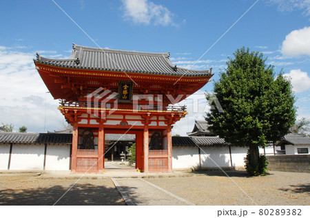 浄厳院 楼門 滋賀県近江八幡市 浄厳院 楼門 滋賀県近江八幡市 80289382