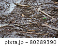 土砂災害によって流れ出たがれき　材木 80289390