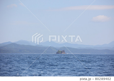 脇ノ沢の鯛島 脇ノ沢の鯛島 80289402