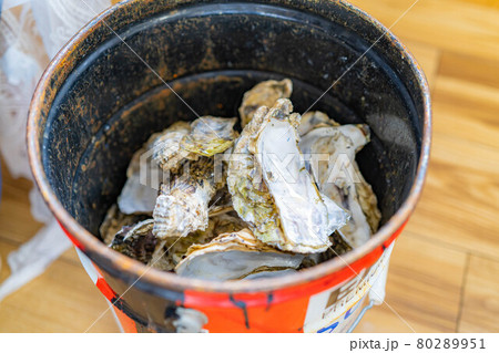 牡蠣小屋　牡蠣食べ放題イメージ　【宮城県】 80289951