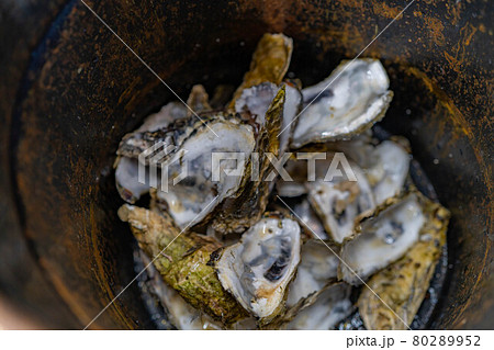 牡蠣小屋　牡蠣食べ放題イメージ　【宮城県】 80289952